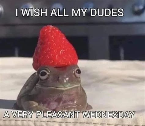 It Is Wednesday My Dudes 9gag