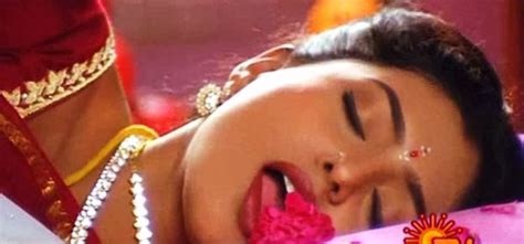 Tollywood Telugu Cinema News And Photos Roja Hot Pics