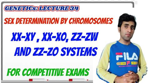 Sex Determination By Chromosomes Xx Xy Xx Xo Zz Zw And Zz Zo Sex