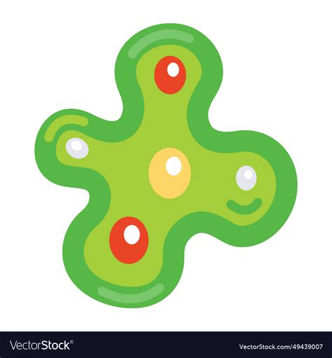 Amoeba Royalty Free Vector Image Vectorstock