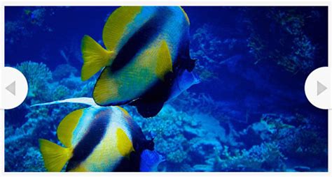 20 Must See Examples Of jQuery Tutorials