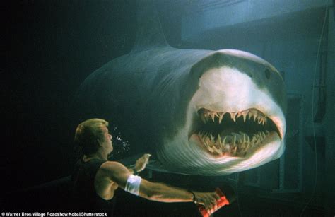 The Jaws Effect: How Shark movies are creating an 'excessive fear ...