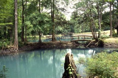 View Of The Blue Hole Spring Swimming Area At Florida Caverns State