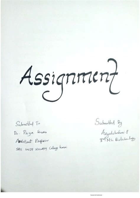 The Word Assignment Written In Cursive Writing On A Piece Of White