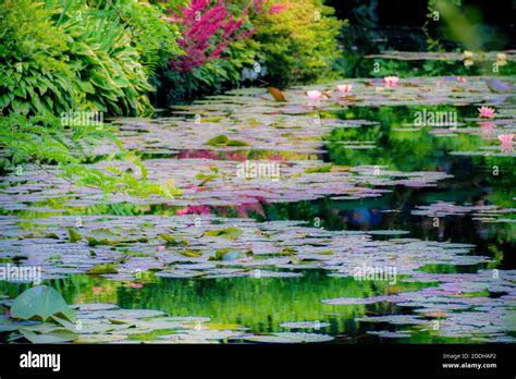 Les Jardins De Monet Giverny Jardin De Monet Maison Et Jardins De