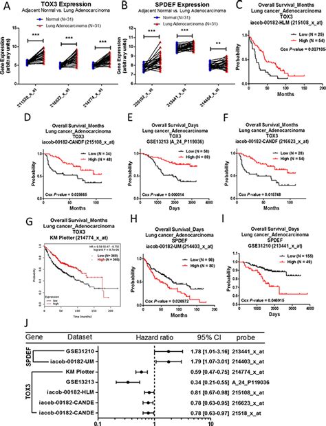 Identification Of Novel Gene Expression Signature In Lung