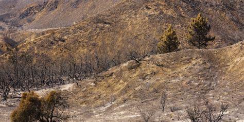 Federal Funding Will Help Reduce Wildfire Risk In San Bernardino Valley