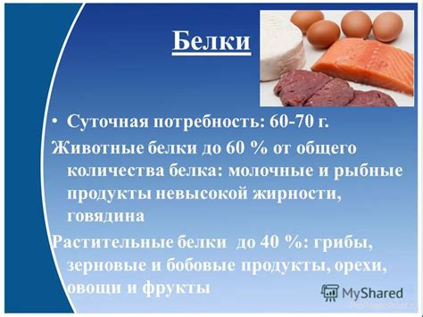 Сколько белка в говядине 100 гр: Говядина приготовленная — сколько ...