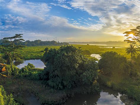 The Guide To Kranji Marshes In Singapore