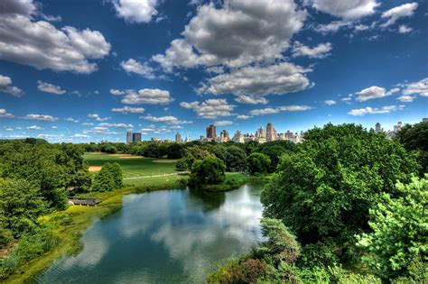 Nature in the City | Mathieu | Flickr