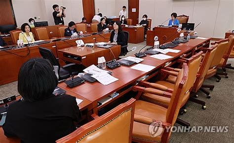 김행 여가장관 후보자 청문회 내달 5일 실시野 단독 의결 스포츠조선