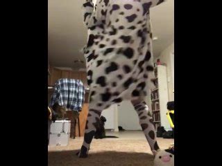 Free Cow Porn Videos Tubesafari