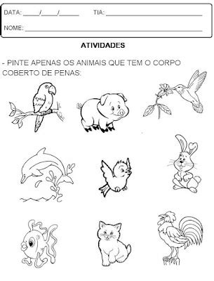 Atividade Animais Educação Infantil