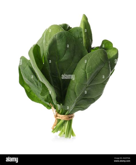 Bunch Of Fresh Spinach Isolated On White Stock Photo Alamy