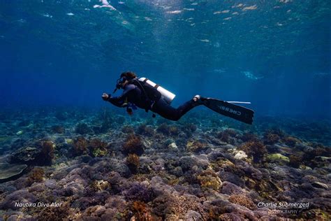 padi dive master training nautika dive alor indonesia