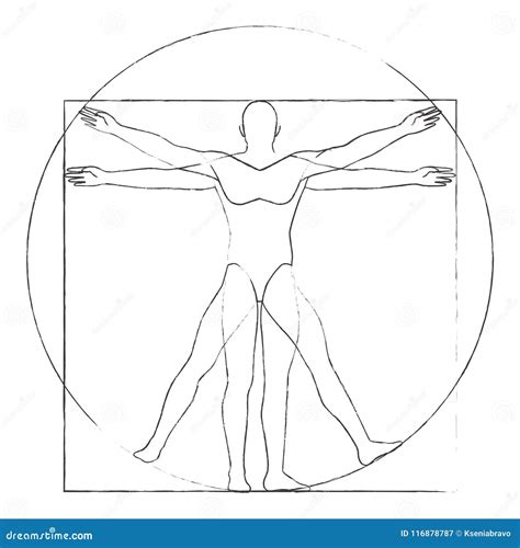 Vitruvian Man Royalty Free Illustration 17120346