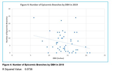 Oak Epicormic Branching And Radial Growth After Thinning In Three