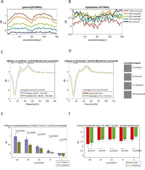 Figure From Neurophysiological Basis Of Contrast Dependent Bold