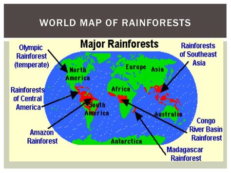 Tropical Rainforest World Map United States Map