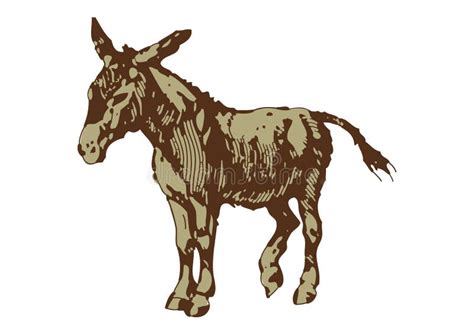 Drawing Of Donkey With White Background Stock Illustration