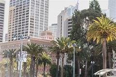 San Diego Sigalert You Wont Believe What Caused This Chaos