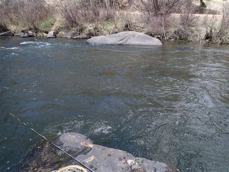 South Platte River Dave Weller S Fly Fishing Blog