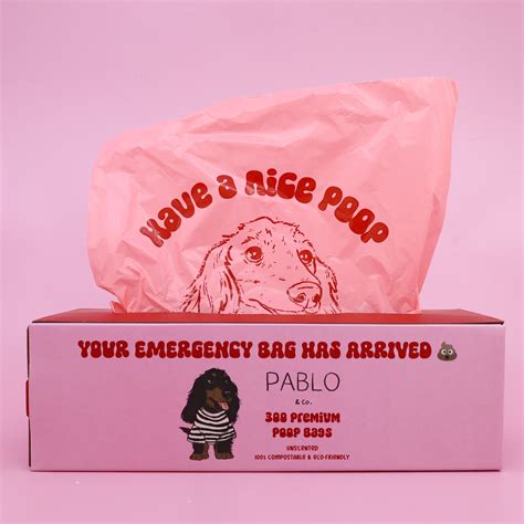 dog poop bags and dispenser 6