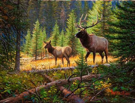 Available Original Paintings Wildlife Artwork