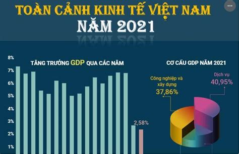 Infographics Toàn Cảnh Nền Kinh Tế Việt Nam Trong Năm 2021 Vietnam