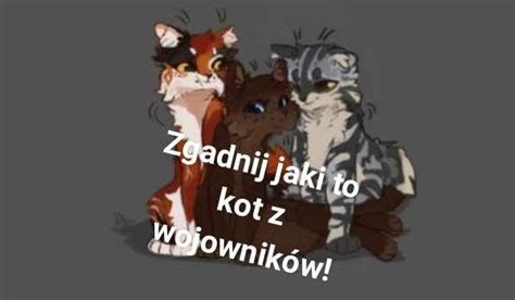 Zgadnij jaki to kot z wojowników sameQuizy