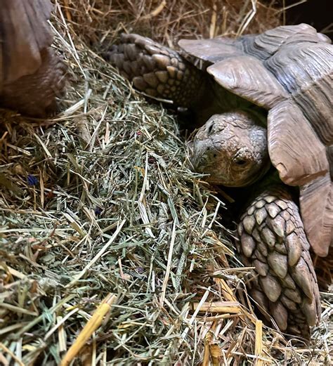 Bus Travel Directions and Route Information for Floralands Farm Park 23