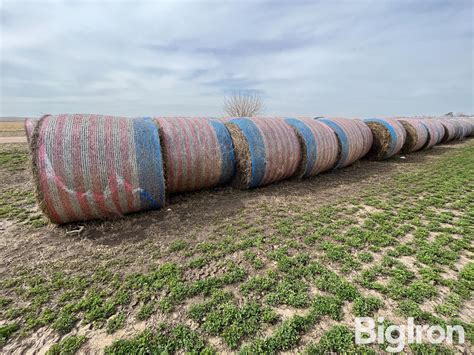 Alfalfa Round Bales Th Cutting Bigiron Auctions