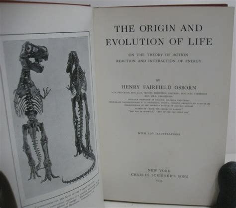 Remembering Bobbie Moore Osborn: Life and Service Details 19