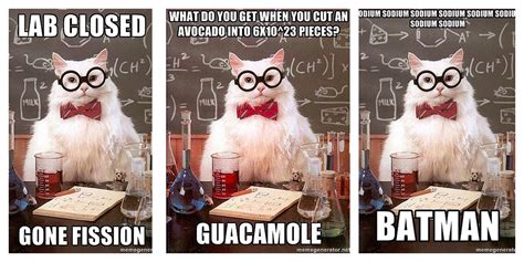 science cat memes