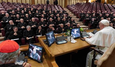 Entusiasmo alegría y gratitud entre los seminaristas de Madrid que