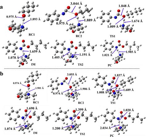 Optimised Structures Along The Reaction Pathway Between Phenyl