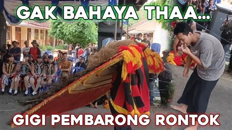 Gigi Copot Pembarong Ini Kesulitan Taklukkan Barongan Reog Raksasa