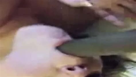 Free Nurse BBC Porn Videos XHamster