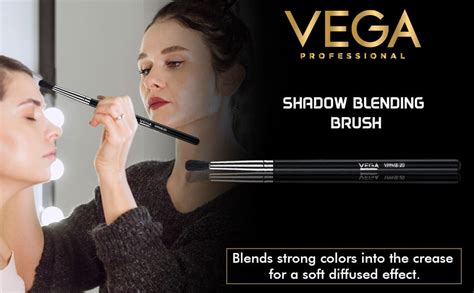 Vega Professional Shadow Blending Brush Vppmb At Rs