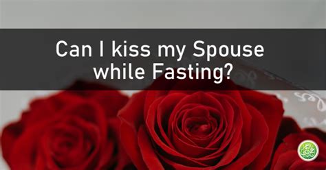 Is Oral Sex Permitted In Islam Hadith Of The Day