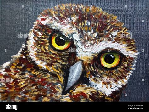 Painting Of Owl High Resolution Stock Photography And Images Alamy