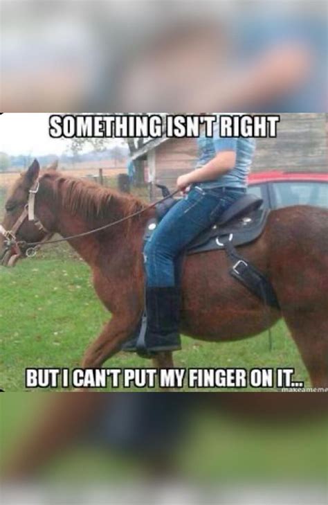 Hilarious Memes 😂😂 Horse Quotes Funny Funny Horse Memes Funny Horse