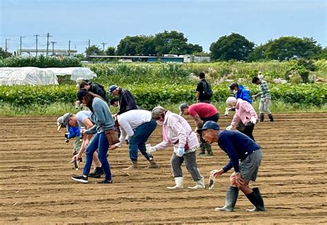 Us Army Community Volunteers In Japan Plant Seeds For Strong