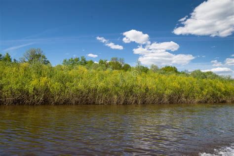 Plants And Bushes Growing Along The Banks Of River Stock Image Image