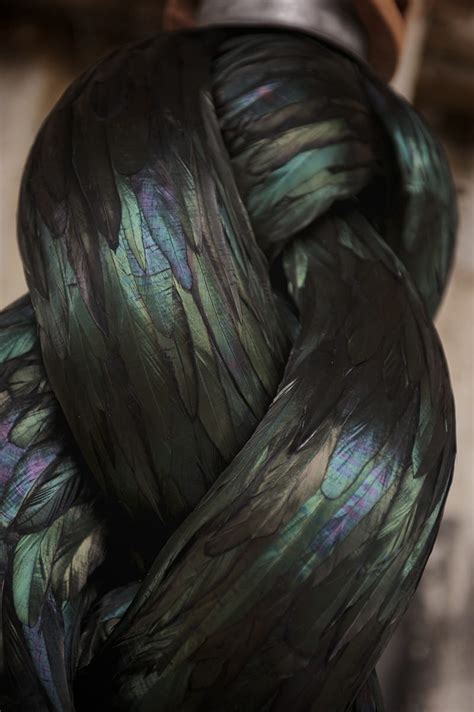 Feather Sculptures By Kate Mccgwire — Colossal