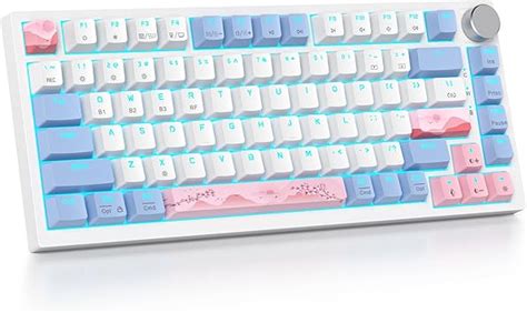 Amazon SbocKeeb 75 Wireless Creamy Pink Mechanical Keyboard Hot Swappable Custom Keyboard