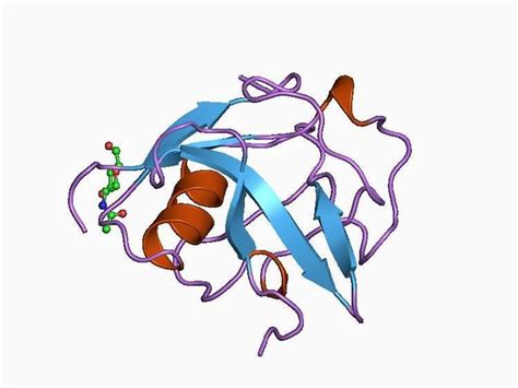 Scavenger Receptor Cysteine Rich Protein Domain Alchetron The Free