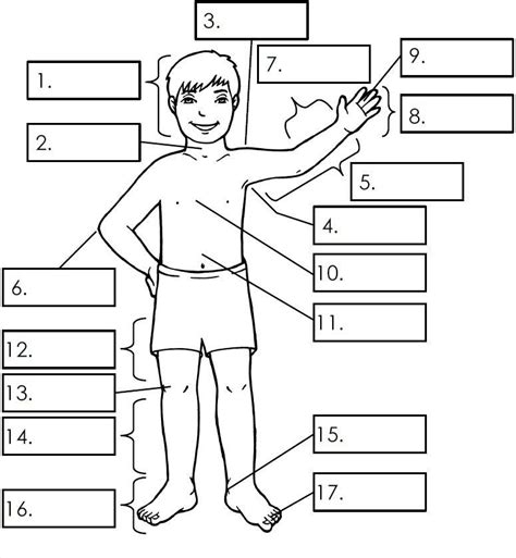 mga bahagi ng katawan parts   body worksheets artofit