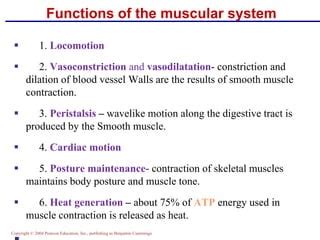 Muscular System Functions