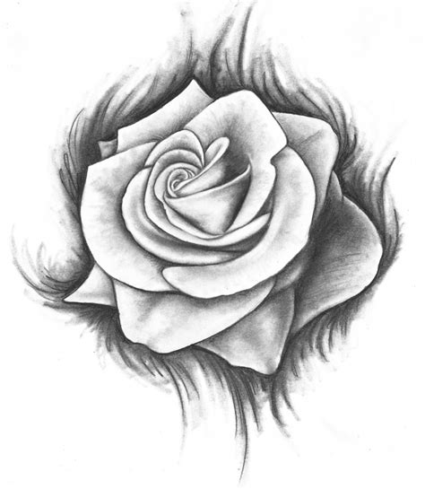 Rose Tattoo Sketch at PaintingValley.com | Explore collection of Rose Tattoo Sketch